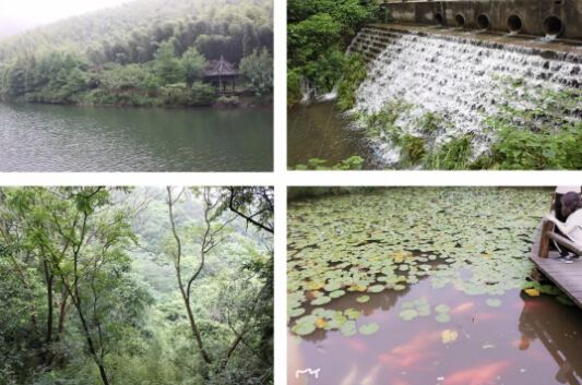 2018尊龙凯时环保常州天目湖公司旅游拓展