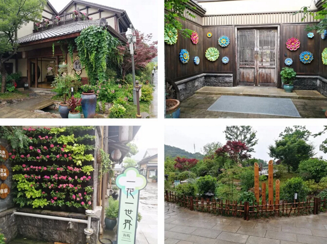 2019尊龙凯时环保拈花湾灵山大佛两日游