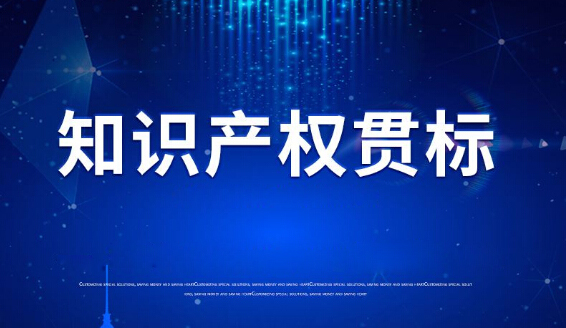尊龙凯时环保顺利通过2020知识产权管理体系认证